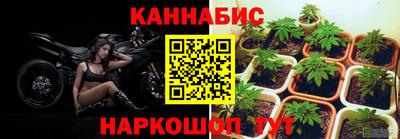 ALPHA PVP Будённовск