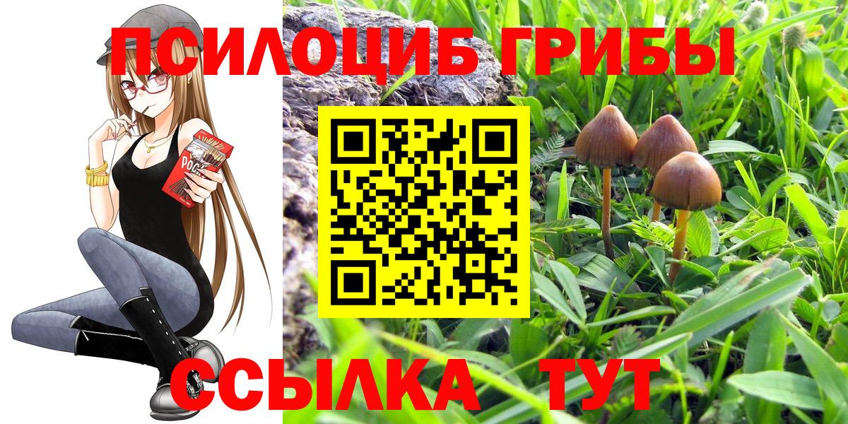 Раменское  Галлюциногенные грибы Magic Shrooms  Галлюциногенные грибы ЛСД  Вход с VPN 